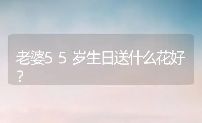 老婆55岁生日送什么花好？ | 绿植常识