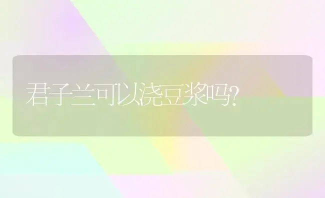 君子兰可以浇豆浆吗？ | 绿植常识