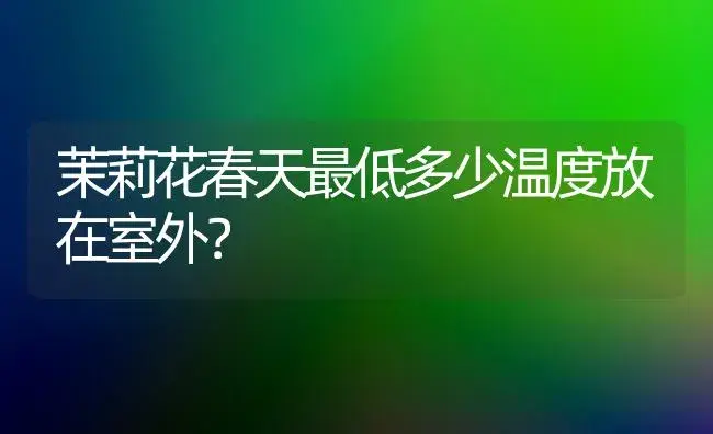 茉莉花春天最低多少温度放在室外？ | 绿植常识