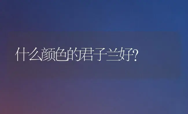 什么颜色的君子兰好？ | 绿植常识