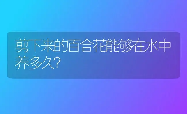 剪下来的百合花能够在水中养多久？ | 绿植常识