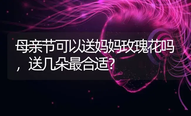 母亲节可以送妈妈玫瑰花吗，送几朵最合适？ | 绿植常识