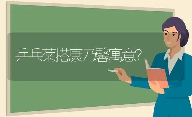 乒乓菊搭康乃馨寓意？ | 绿植常识