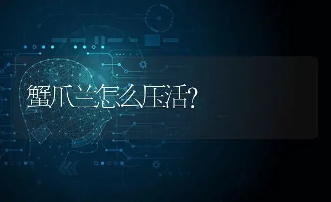 蟹爪兰怎么压活？ | 多肉养殖