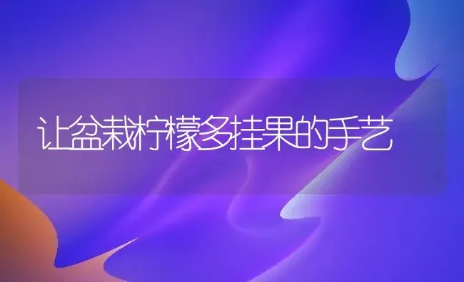 让盆栽柠檬多挂果的手艺 | 家庭养花