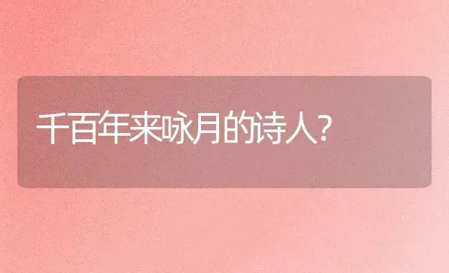 千百年来咏月的诗人？ | 绿植常识