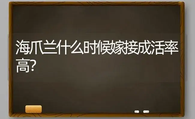 海爪兰什么时候嫁接成活率高？ | 多肉养殖