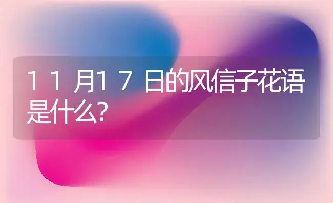 11月17日的风信子花语是什么？ | 绿植常识