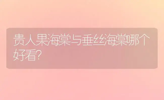 贵人果海棠与垂丝海棠哪个好看？ | 绿植常识