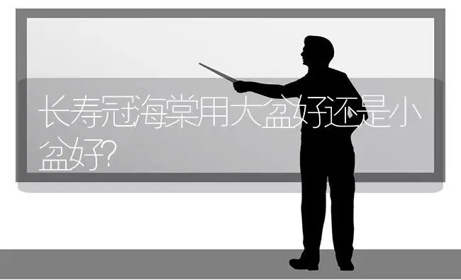 长寿冠海棠用大盆好还是小盆好？ | 多肉养殖