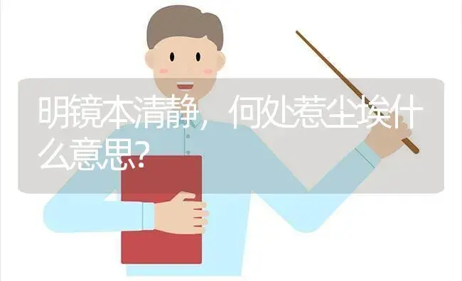 明镜本清静,何处惹尘埃什么意思？ | 多肉养殖