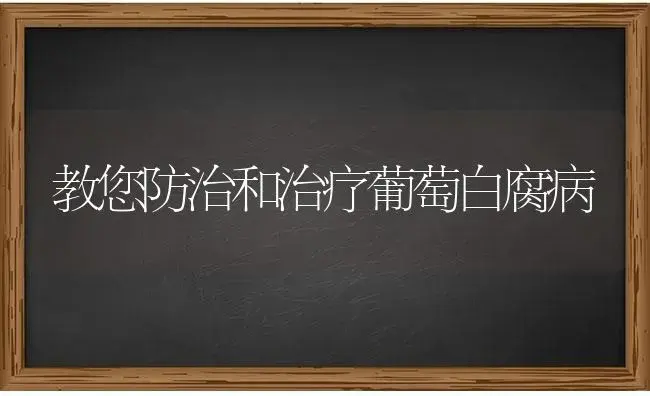 教您防治和治疗葡萄白腐病 | 果木种植