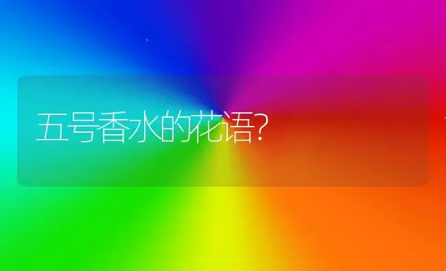 五号香水的花语？ | 绿植常识