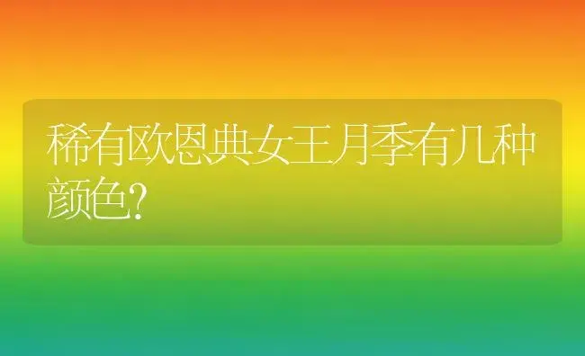 稀有欧恩典女王月季有几种颜色？ | 绿植常识