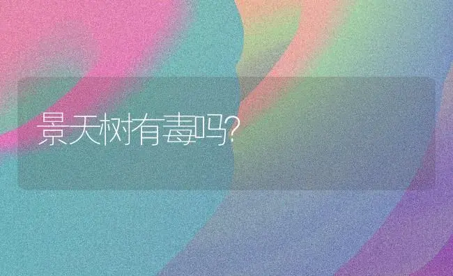 景天树有毒吗？ | 多肉养殖