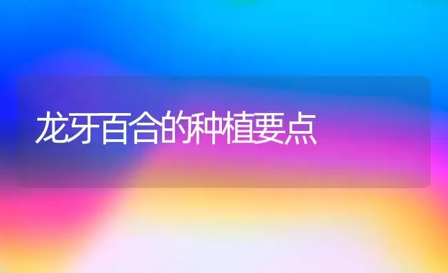 龙牙百合的种植要点 | 家庭养花