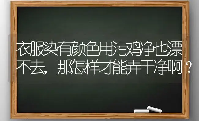 衣服染有颜色用污鸡净也漂不去,那怎样才能弄干净啊？ | 多肉养殖