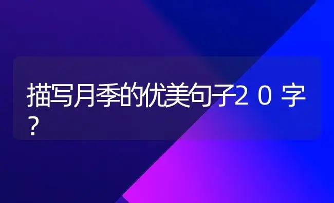 描写月季的优美句子20字？ | 绿植常识