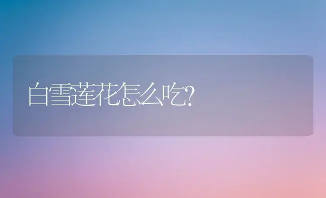 白雪莲花怎么吃？ | 多肉养殖