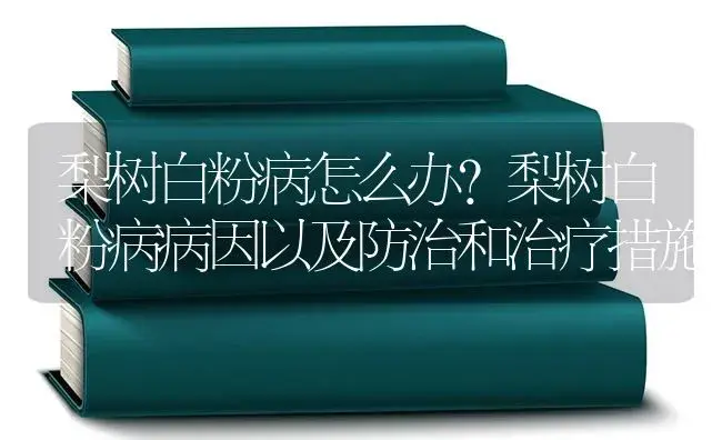 梨树白粉病怎么办？梨树白粉病病因以及防治和治疗措施 | 果木种植