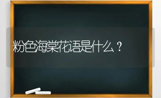 粉色海棠花语是什么？ | 绿植常识