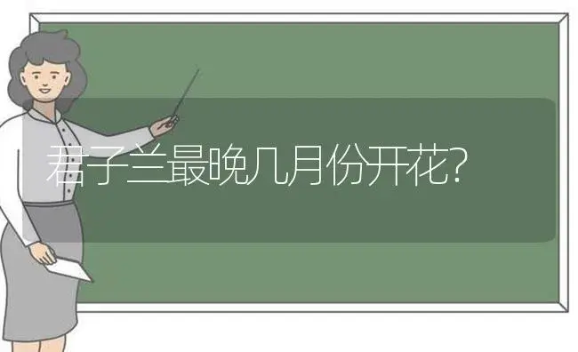 君子兰最晚几月份开花？ | 绿植常识