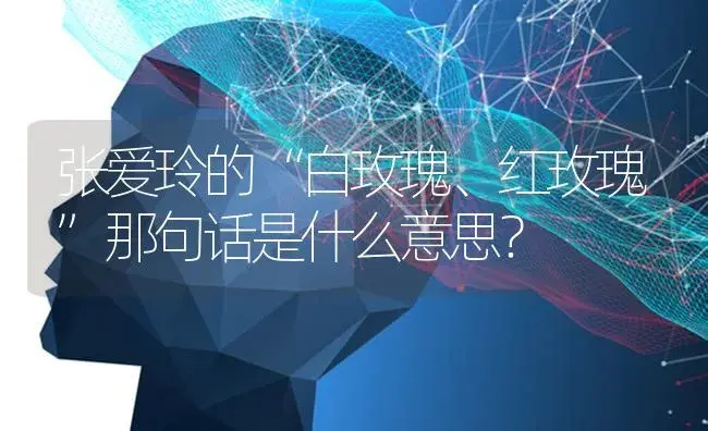 张爱玲的“白玫瑰、红玫瑰”那句话是什么意思？ | 绿植常识