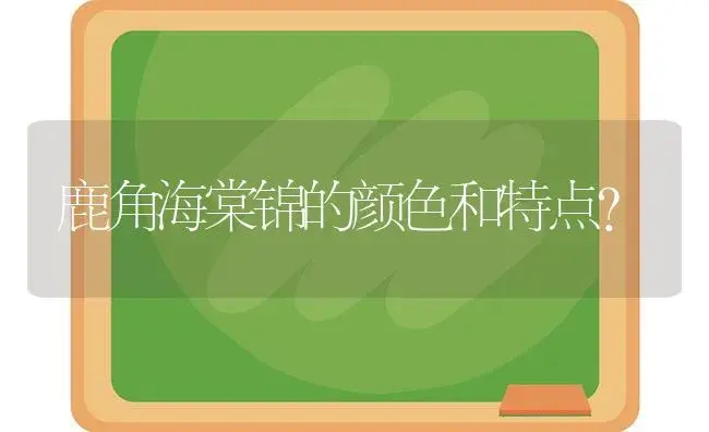 鹿角海棠锦的颜色和特点？ | 多肉养殖