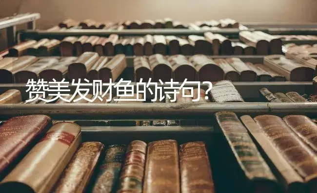 赞美发财鱼的诗句？ | 绿植常识