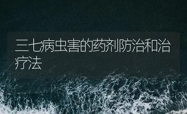 三七病虫害的药剂防治和治疗法 | 药材种植