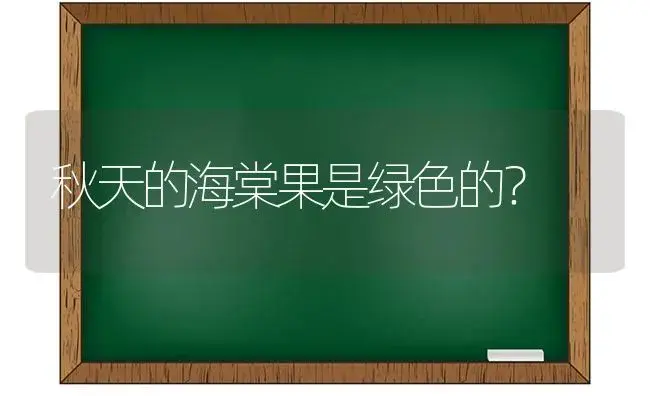 秋天的海棠果是绿色的？ | 绿植常识