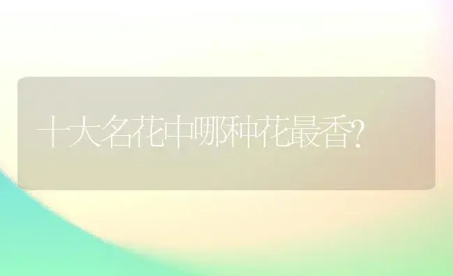 十大名花中哪种花最香？ | 绿植常识