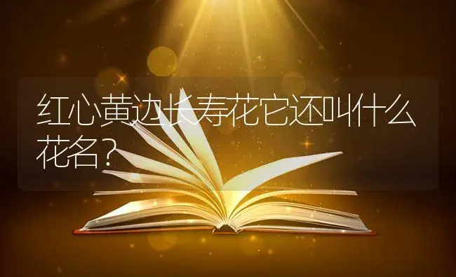 红心黄边长寿花它还叫什么花名？ | 多肉养殖