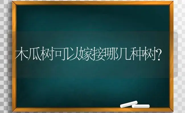 木瓜树可以嫁接哪几种树？ | 绿植常识