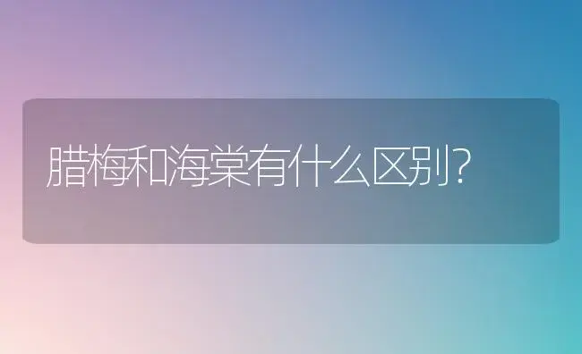 腊梅和海棠有什么区别？ | 绿植常识