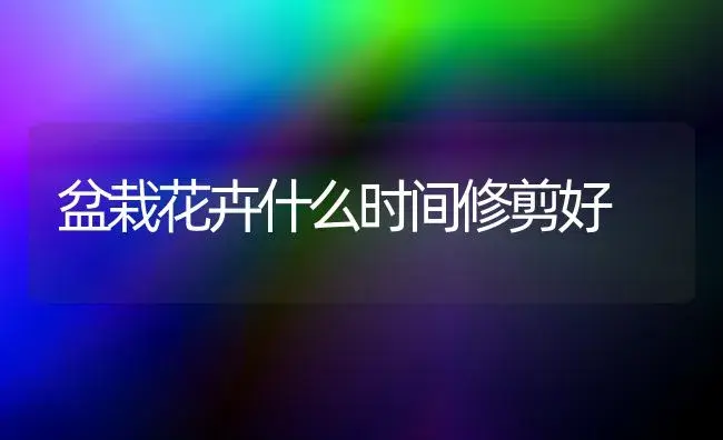 盆栽花卉什么时间修剪好 | 家庭养花