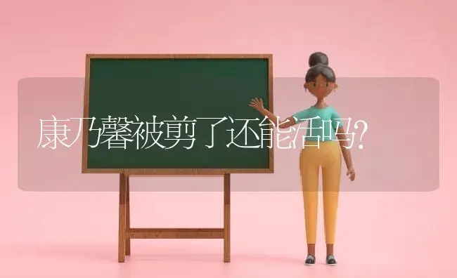 康乃馨被剪了还能活吗？ | 绿植常识