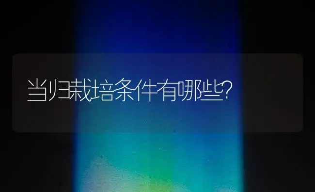 当归栽培条件有哪些？ | 药材种植