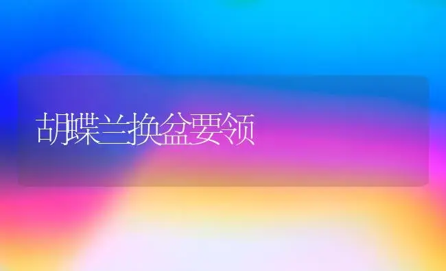 胡蝶兰换盆要领 | 家庭养花