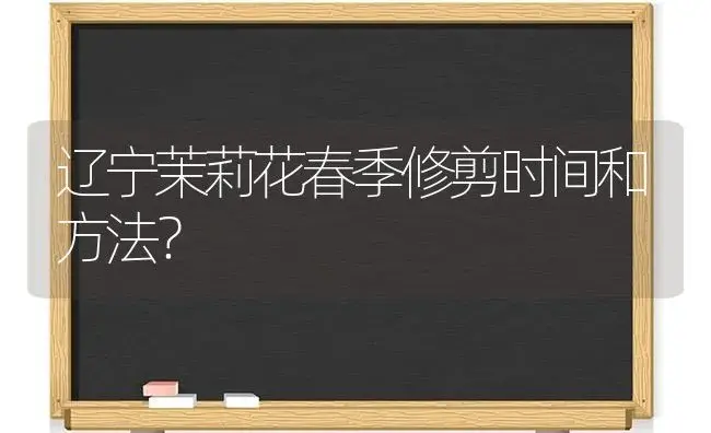 辽宁茉莉花春季修剪时间和方法？ | 绿植常识