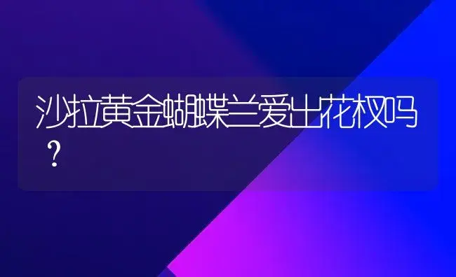 沙拉黄金蝴蝶兰爱出花杈吗？ | 绿植常识