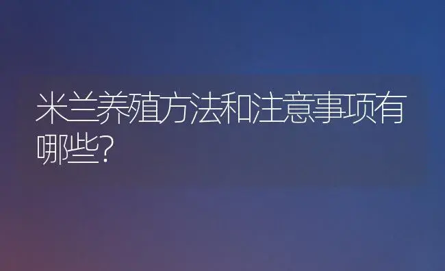 米兰养殖方法和注意事项有哪些？ | 绿植常识