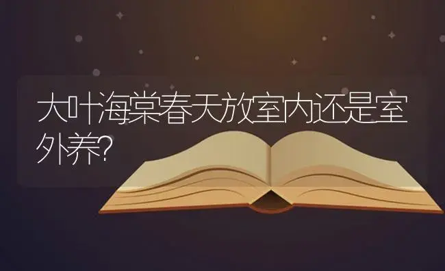 大叶海棠春天放室内还是室外养？ | 绿植常识