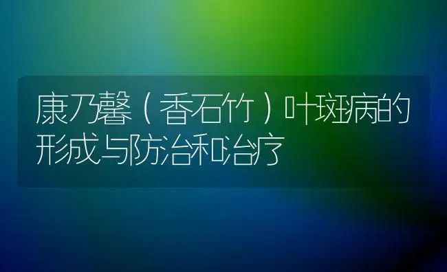 康乃馨（香石竹）叶斑病的形成与防治和治疗 | 家庭养花