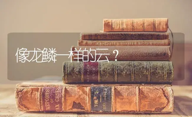 像龙鳞一样的云？ | 多肉养殖
