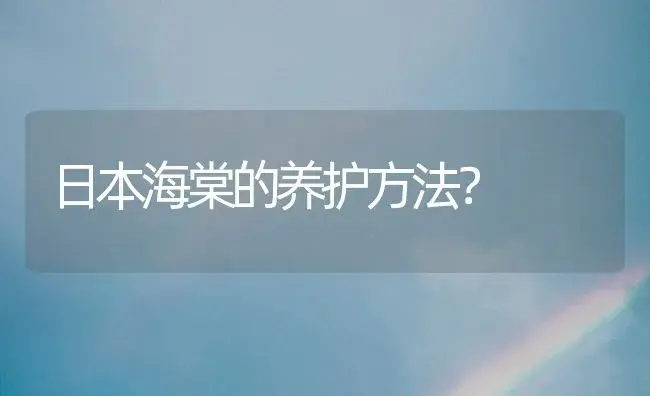 日本海棠的养护方法？ | 绿植常识