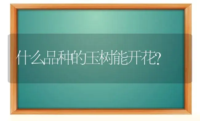 什么品种的玉树能开花？ | 多肉养殖