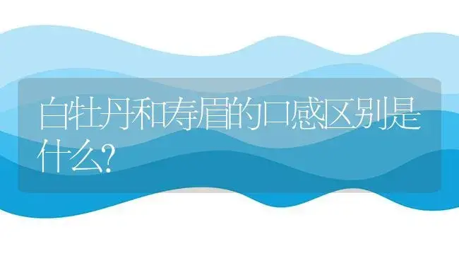 白牡丹和寿眉的口感区别是什么？ | 多肉养殖