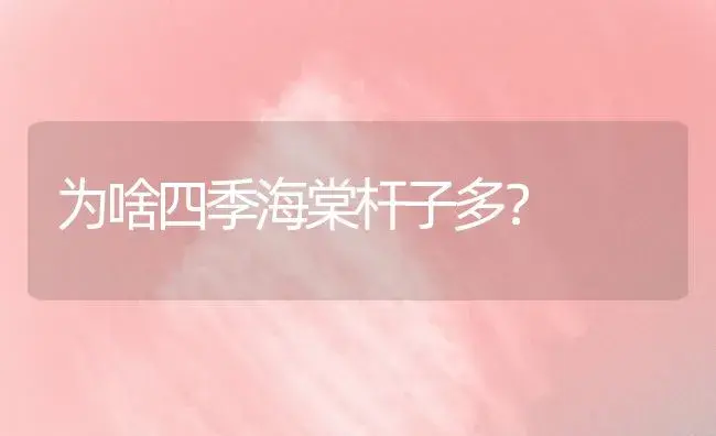 朋友妈妈生日买啥？ | 绿植常识