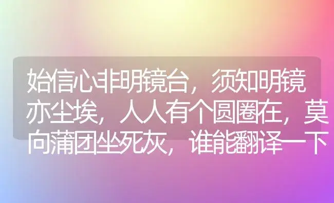 始信心非明镜台,须知明镜亦尘埃,人人有个圆圈在,莫向蒲团坐死灰,谁能翻译一下？ | 多肉养殖